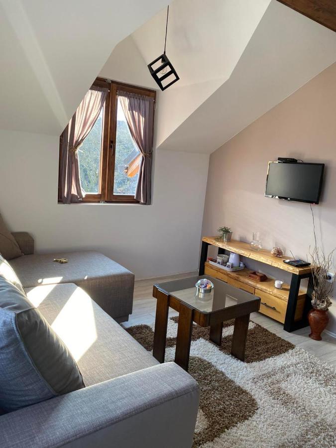 Rtanjska Kucica Apartment Boljevac Luaran gambar